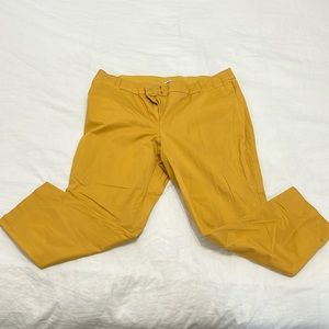 Lane Bryant Women’s Size 18 Yellow Pants